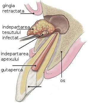 Ultradent - cabinet stomatologic